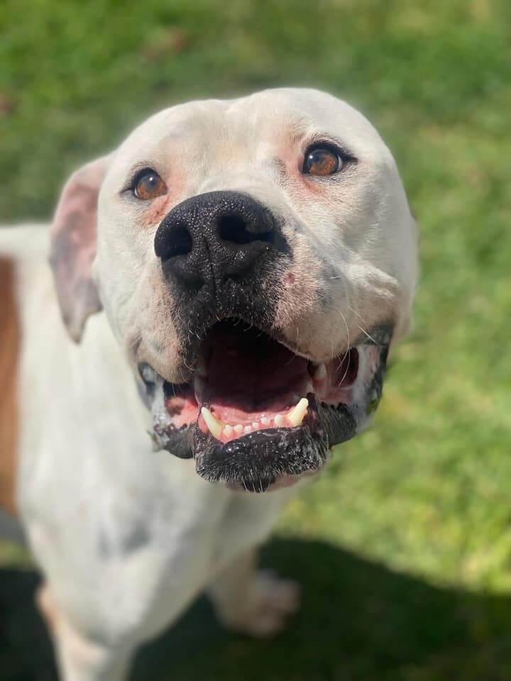 jimmy-a0355742