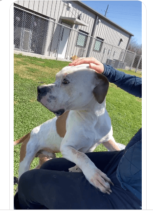 jimmy-a0355743