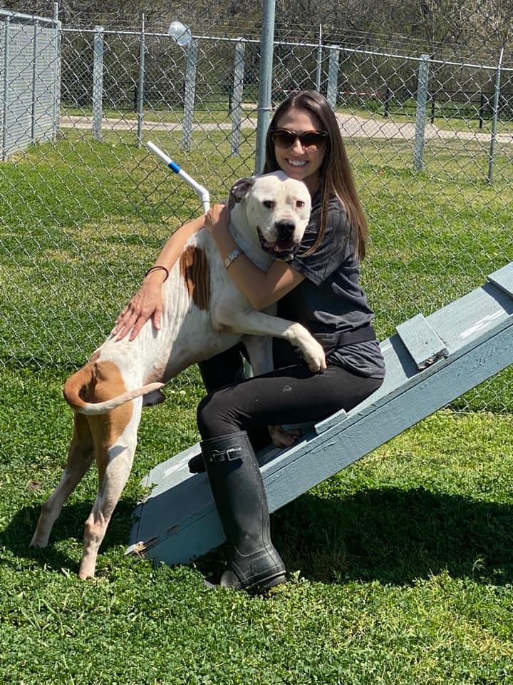 jimmy-a0355744