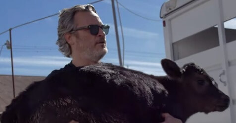 Actor Joaquin Phoenix rescues cow and her calf from slaughterhouse