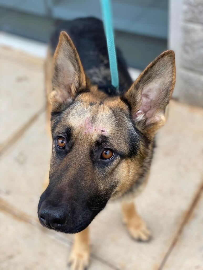 jovi-recovered-773x1030-1