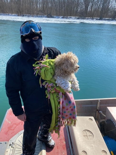 Small dog stranded on frozen Detroit River four days miraculously rescued