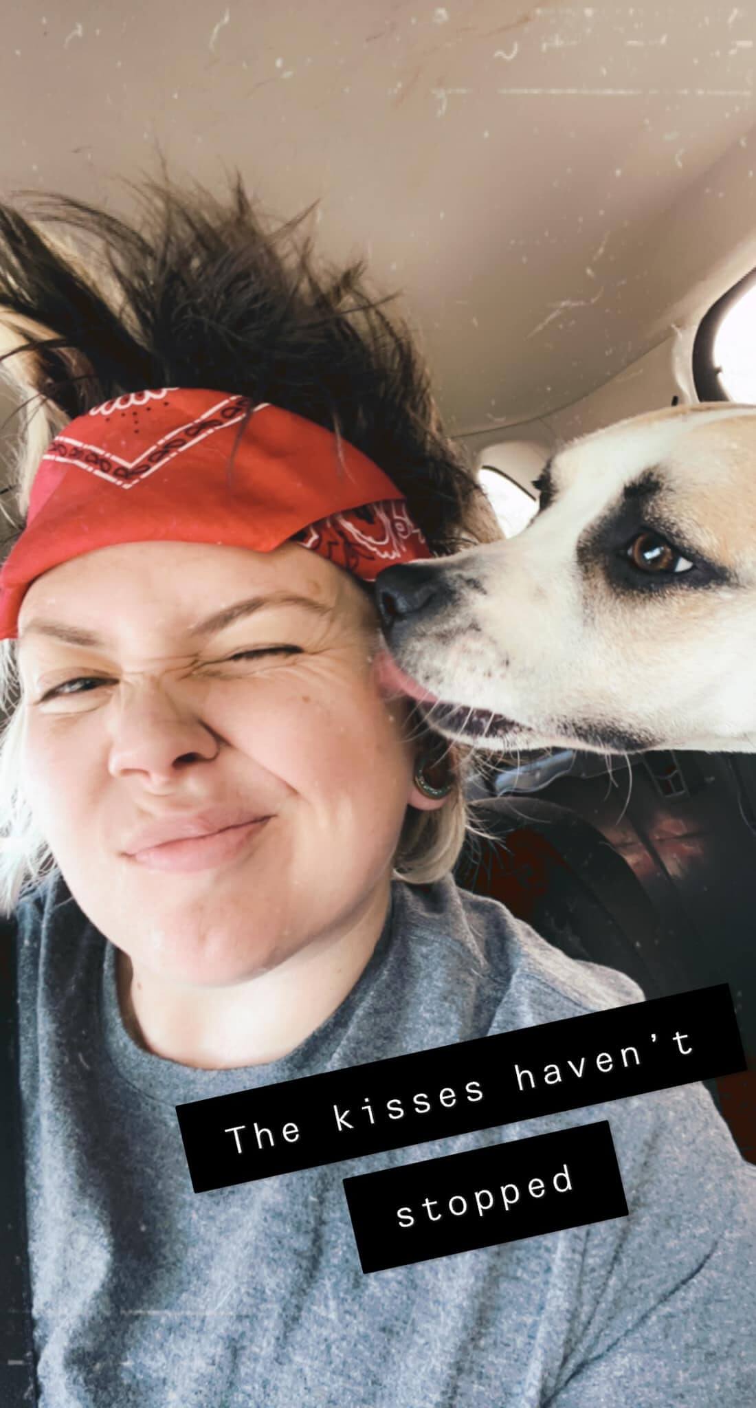 UPDATE: Hearts broke for pup trying to disappear in her kennel cage at shelter pranced out when rescued