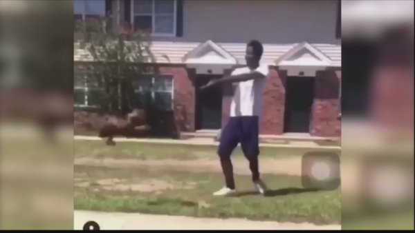 Juvenile charged viral dog swinging