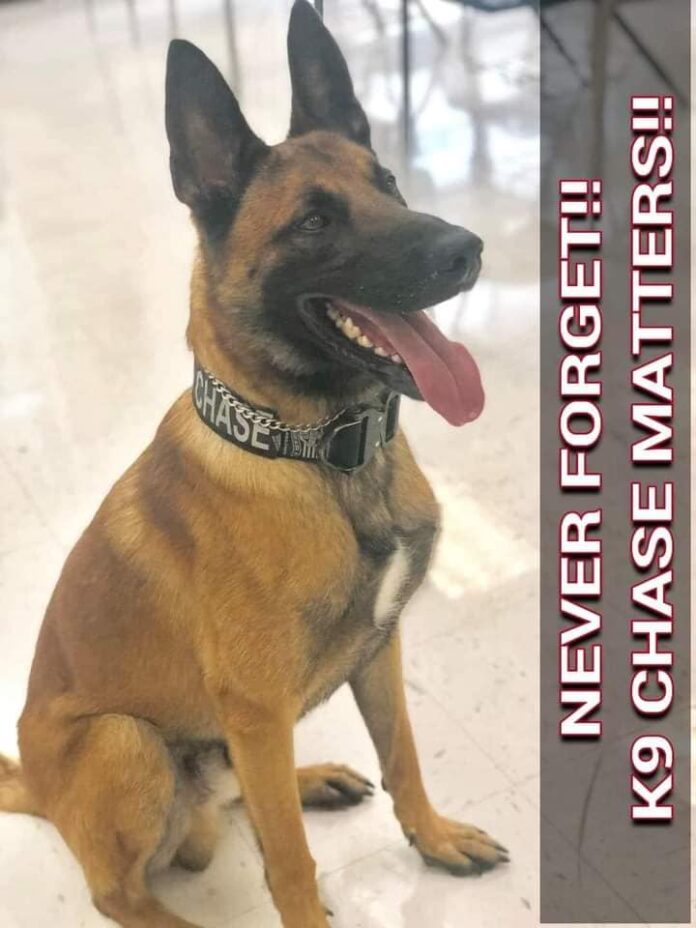 Former police officer pleads guilty to charges in disappearance of K9 officer but dog is still missing