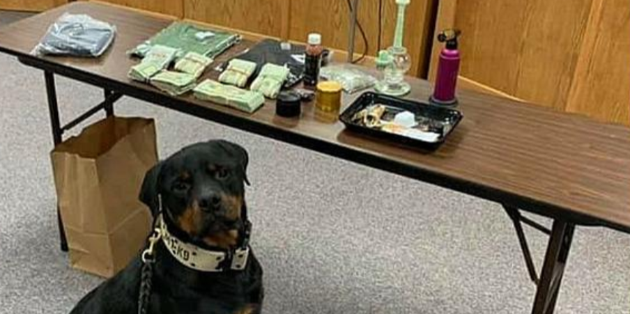 k9-ryker