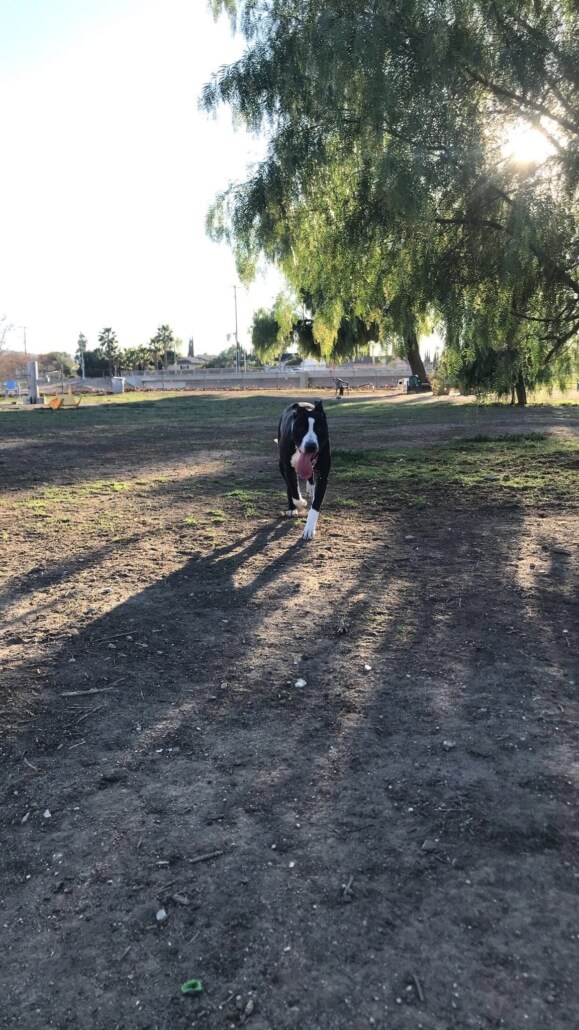 kaiyah4-579x1030-1