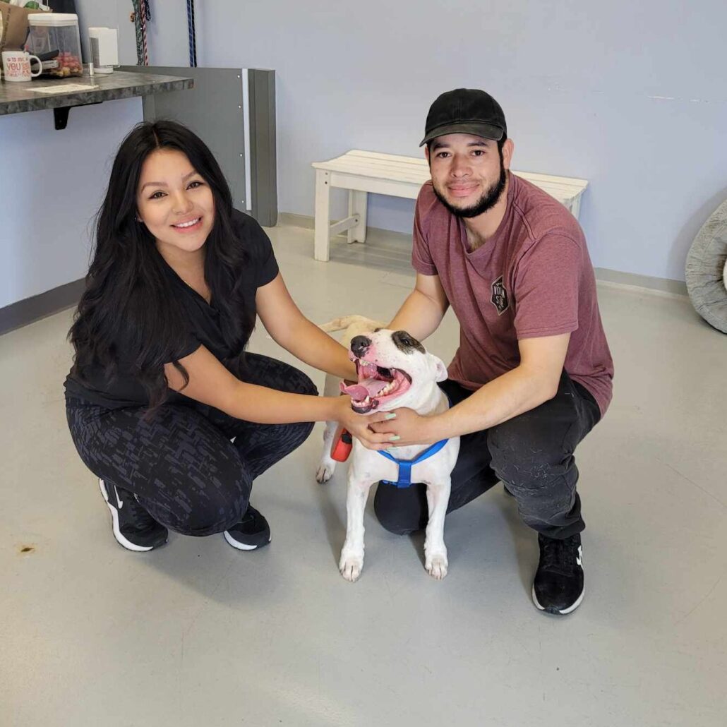 kansas-dog-found-1-1030x1030-1