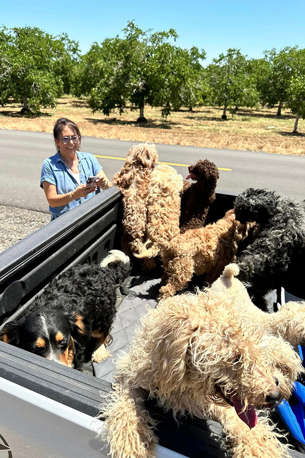 40 purebred pups abandoned in orchard field in Merced County