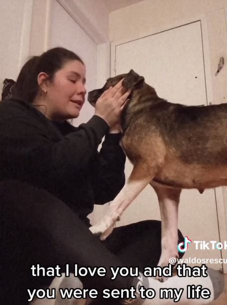 Rescue dog melts hearts as she realizes she has been adopted by her foster mom