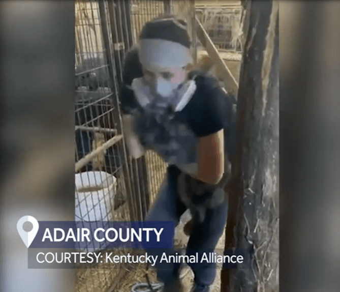 kentucky-animal-alliance