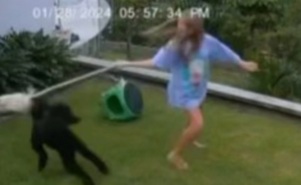 Youngster grabbed python in frantic move to rescue her pet guinea pig