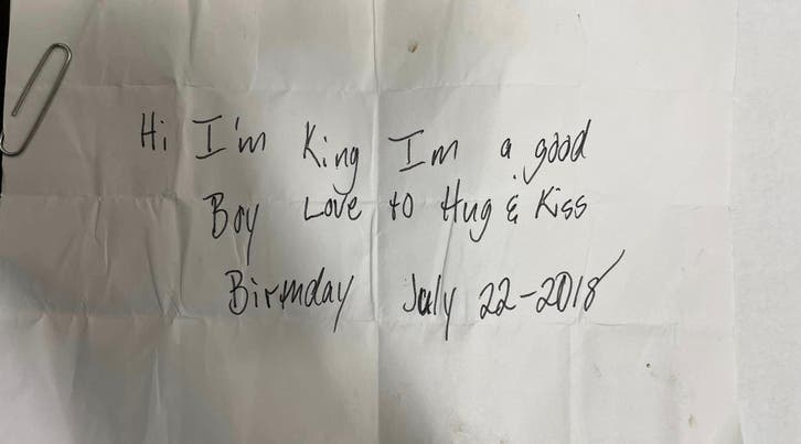 king-the-dog