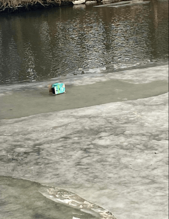 kittens-off-bridge-2