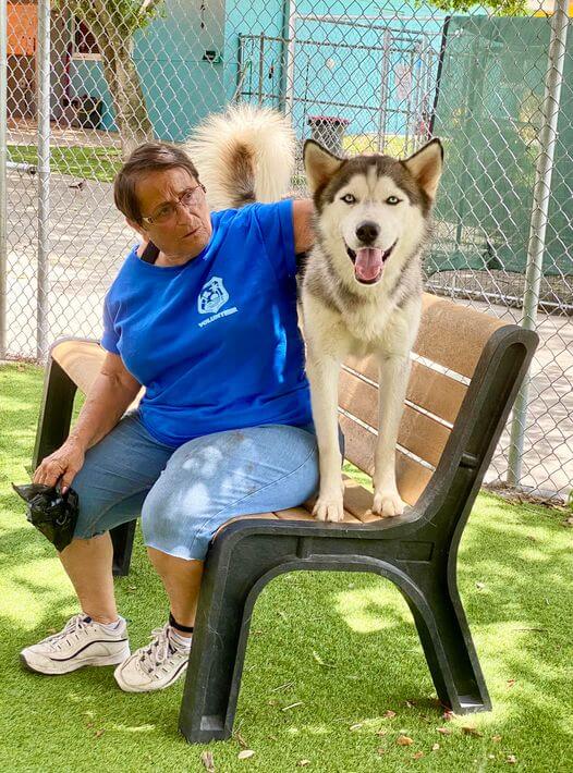 Affectionate pup can’t catch a break after being returned twice over the weekend