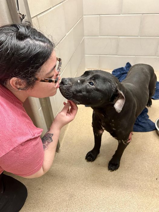 UPDATE: Kratos overcoming inflicted cruelty and neglect and getting stronger