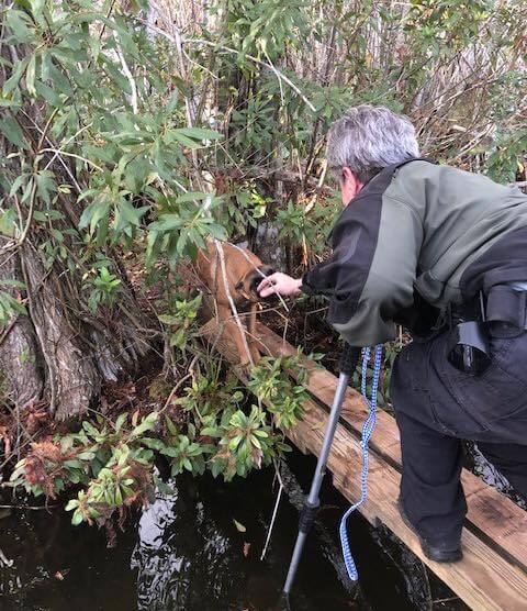 lake-county-sheriffs-office-1-1