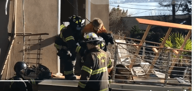 Miraculous recovery of family dog in rubble six days after landslide destroyed their home