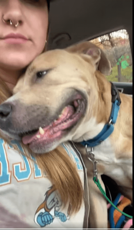 ‘Legacy’ is longest resident in boarding: 223 days 5352 hours and 321120 minutes