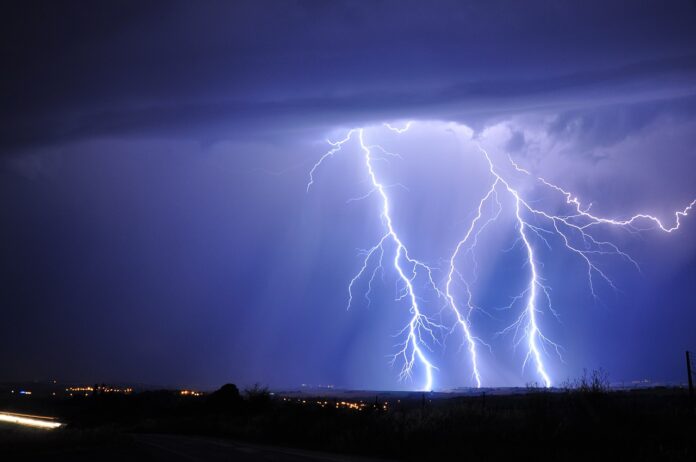 Lightning dogs 1