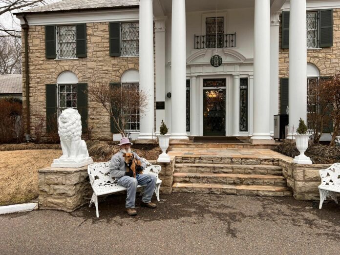 Stray pup found wandering during Lisa Marie Presley’s memorial service up for adoption