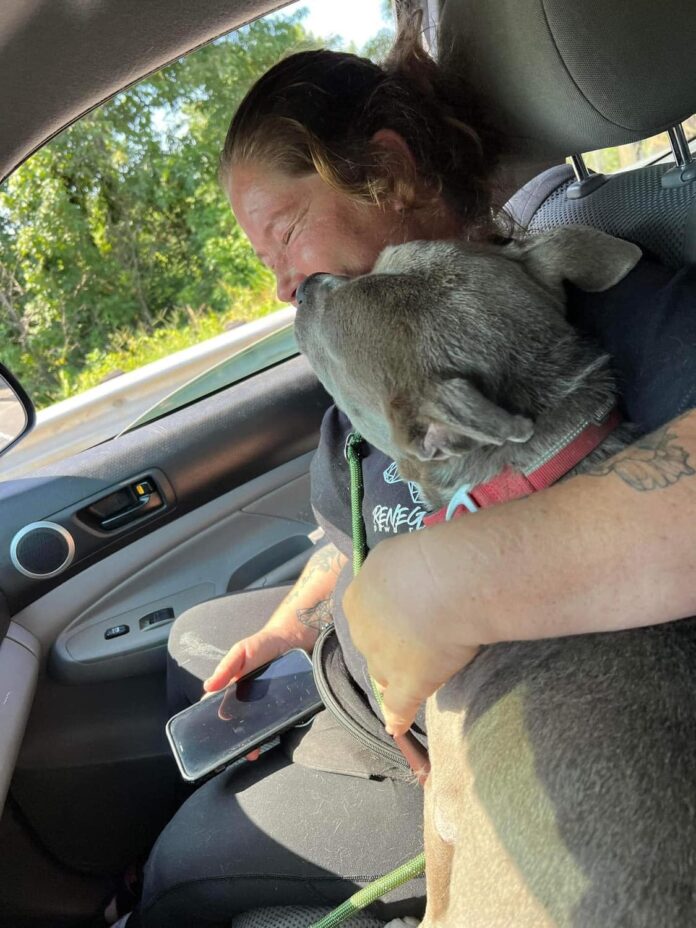Heartbreaking discovery when abandoned dog guarding bag turned out to include remains of deceased pal