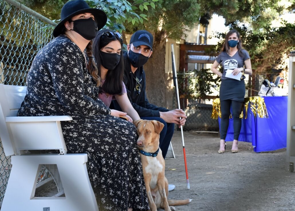 louis-blind1-1030x736-1