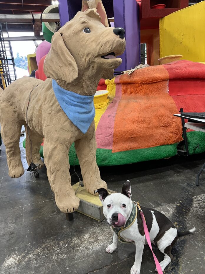 Special pooch will stand on Pasadena Humane’s float on New Year’s Day representing all dogs needing homes
