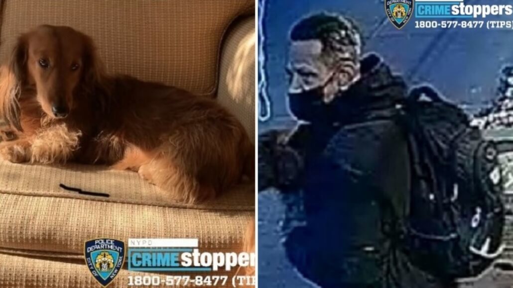 luca-found-1030x579-1