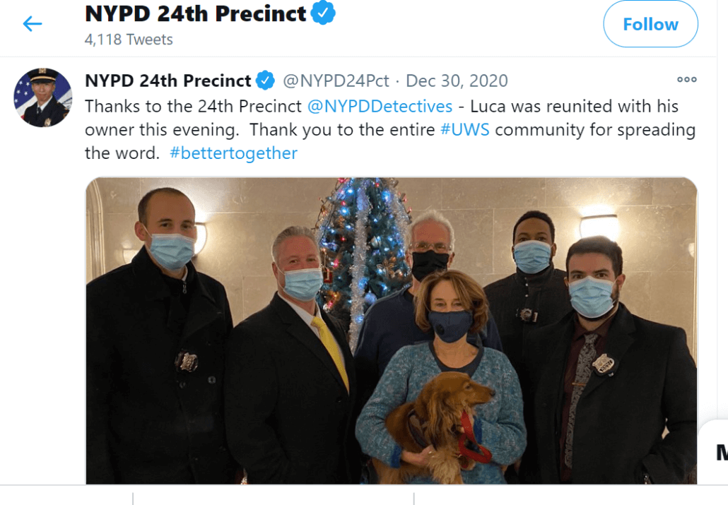 luca-found-2-1030x715-1