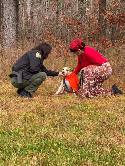 Elusive street-smart pup captured after two years on the run