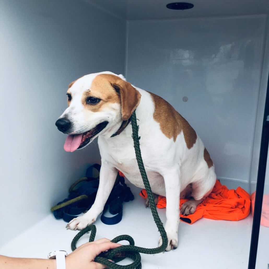 lucy-caught1-1030x1030-1