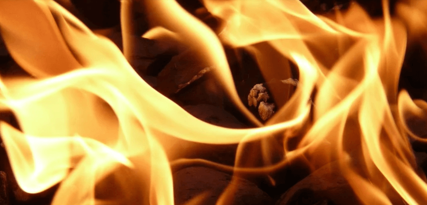 man dog suicide fire Man kills dog, commits suicide