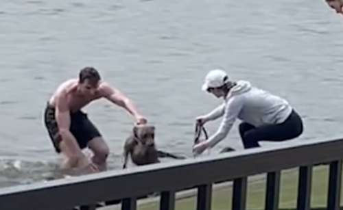 Brave guy from New Jersey jumps into Hudson River to rescue dog