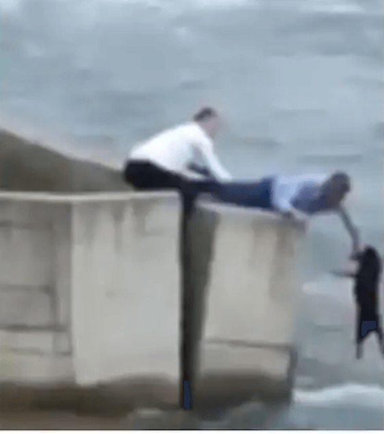 Man skips wedding ceremony to save dog clinging to side of river