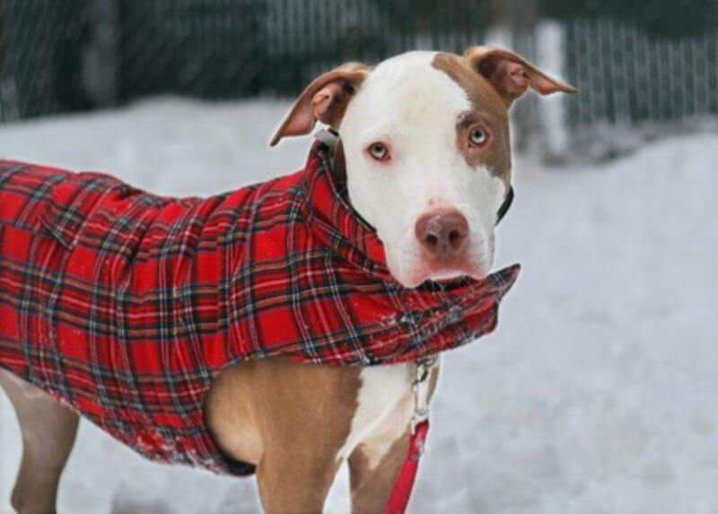 Manhattan ACC 1