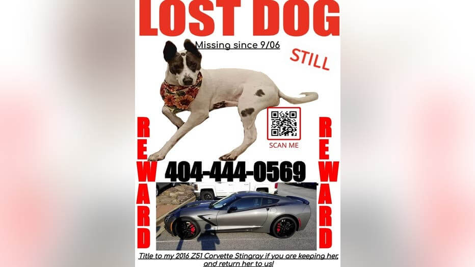 marley-missing2