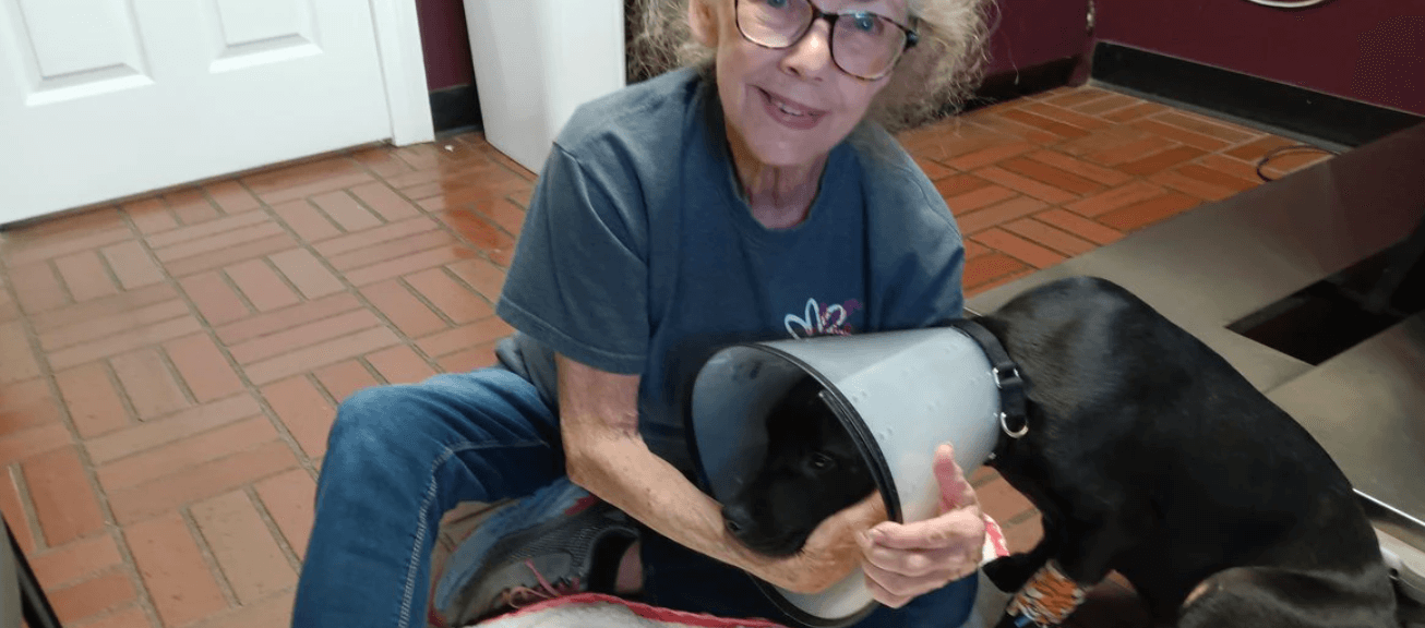 Dog spotted dangling from moving vehicle’s side window rescued and suspect accused of felony