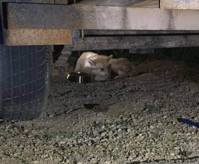 masa-rescue-2-e1585506217265