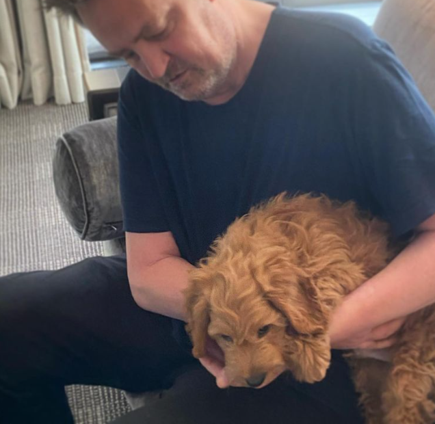 UPDATE: Matthew Perry’s dog Alfred will remain with ex-fiancée