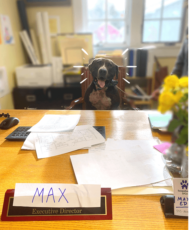 max-waits2