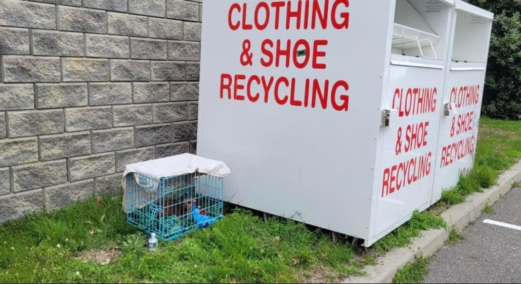 mcspca-1-1030x562-1