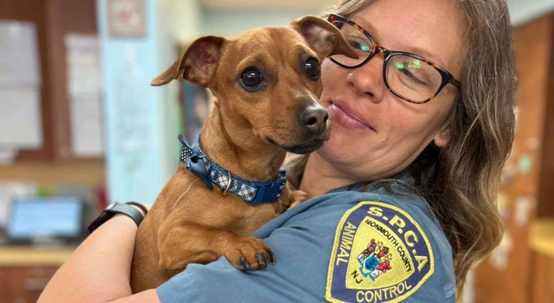 New Jersey law enforcement division asking public’s help finding person who abandoned dog in crate