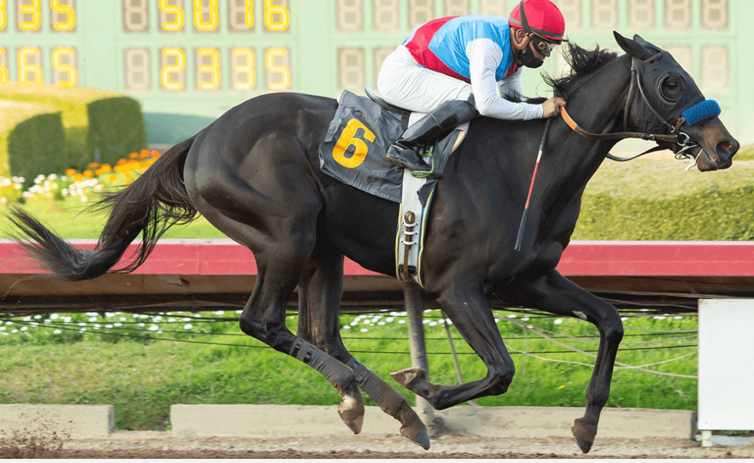 Venomous mistake: Customs seize illegal animal venom likely aimed at Kentucky Derby horses