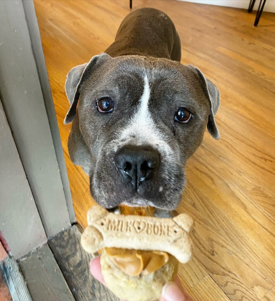 melvin-cupcake-941x1030-1