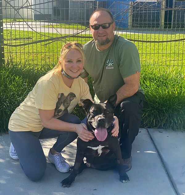 Adorable Melvin waited 667 days to find his forever home