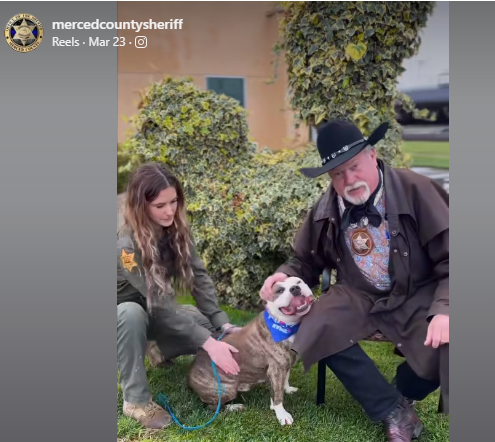 Big hearted sheriff shares video of surrendered dog offering to pay all adoption fees