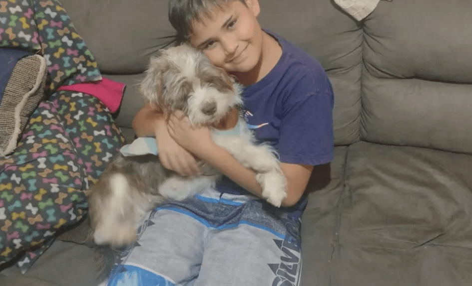 Broken hearted boy reunited with his lost dog makes life beautiful again
