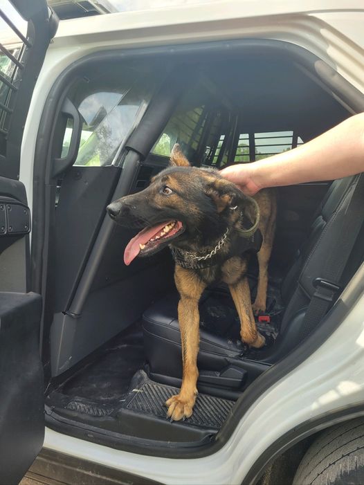 Florida missing K9 officer found by Good Samaritan after 24 hour search