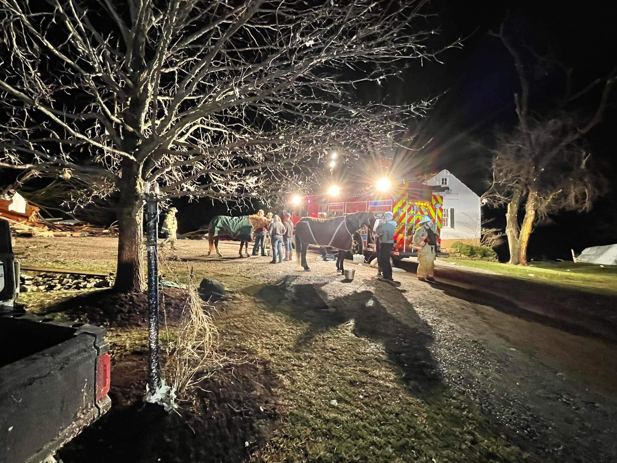 Missouri horses